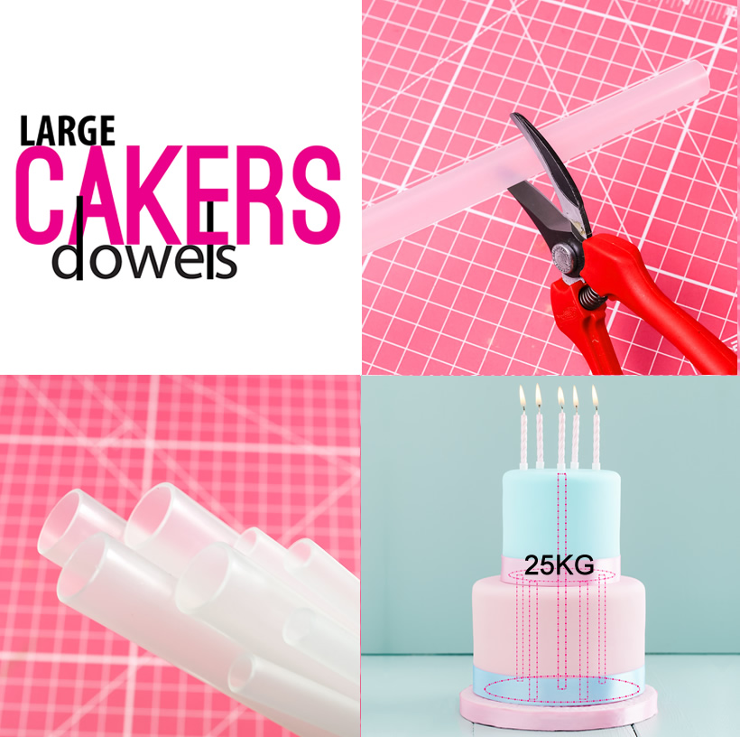 Cakers Dowels - LARGE Opaque (Packs of 100)